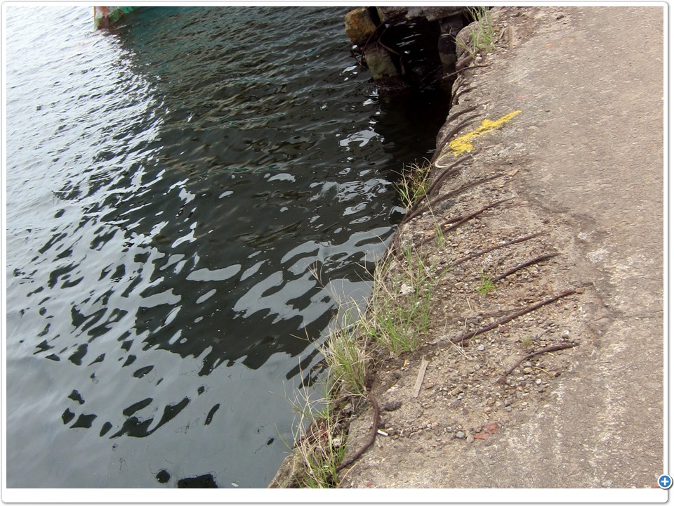 Shipyard + Terminal Work  - Dock Damage