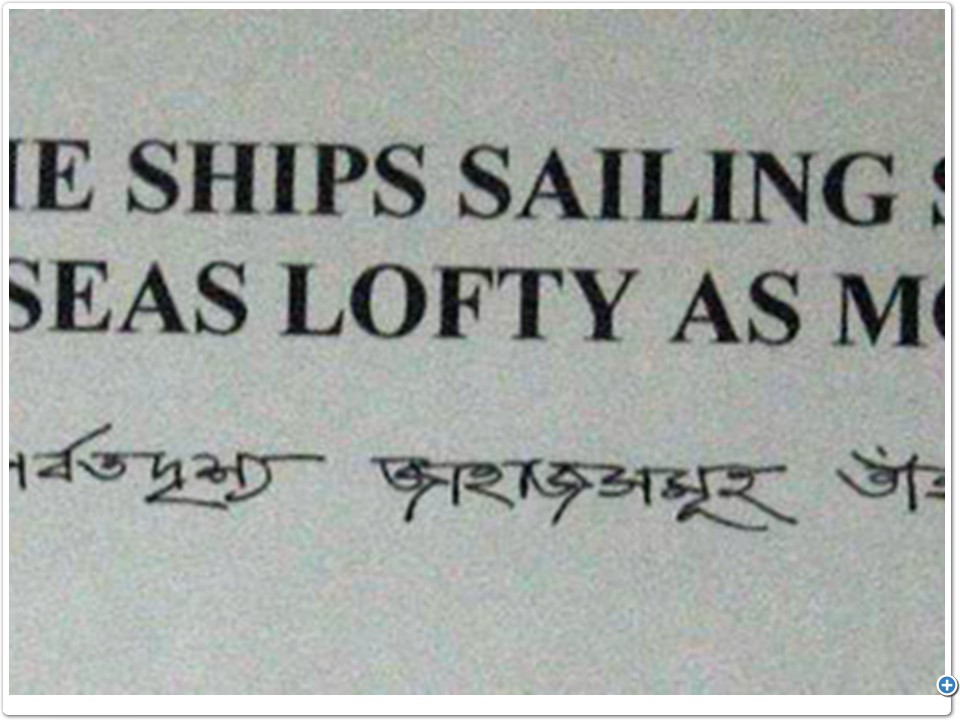 Signs - Ironic - The Ship Was Aground!